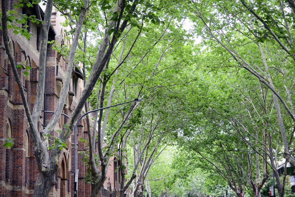 The Maisonette Cité de Cité de Sydney Extérieur photo